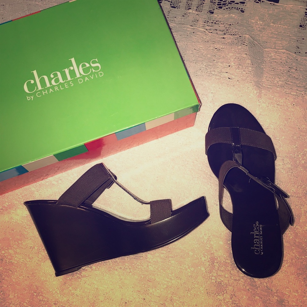 Size 8 Brown Charles David wedge sandals